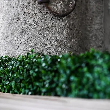 6/4 De Oda ve Kahvaltı Lamego