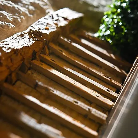 Oda ve Kahvaltı 6/4 De 3*