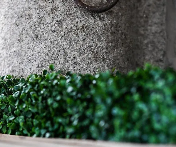 6/4 De Bed & Breakfast Lamego