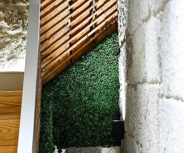 Bed & Breakfast 6/4 De