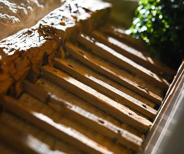 Bed & Breakfast 6/4 De 3*