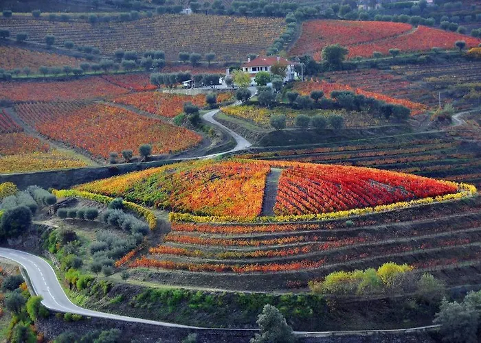 Bed & Breakfast 6/4 De